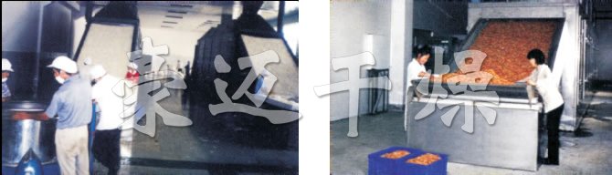 DW多層帶式干燥機 DW多層帶式干燥機