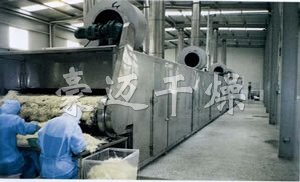 DWC系列脫水蔬菜帶式干燥機(jī) DWC系列脫水蔬菜帶式干燥機(jī)