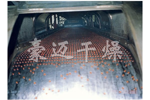 RL系列熔融造粒機(jī)