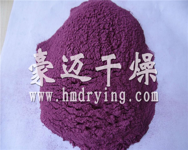 滾筒刮板干燥機(jī)干燥后的紫薯粉