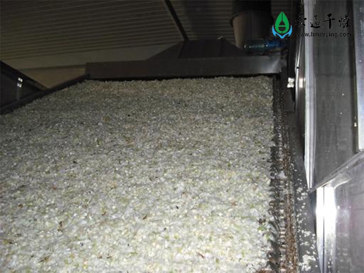 脫水蔬菜烘干機(jī)